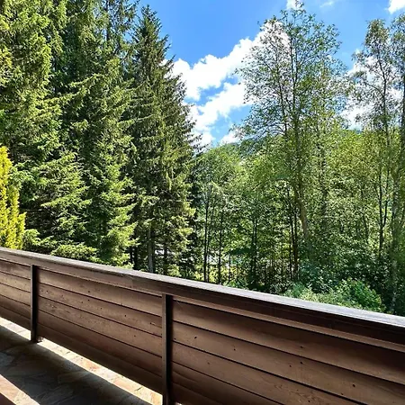 Semmering Guest Haus Steinhaus am Semmering